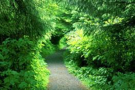 Vind rust in het groen